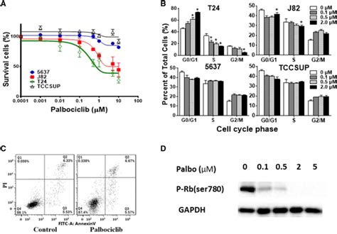 Effect of CDK4/6 inhibitor palbociclib on bladder cancer cell lines. a ...