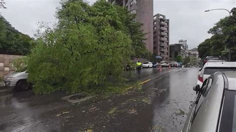 海葵挾雨彈炸基隆 暖暖路樹倒道路一度單向通行｜四季線上4gtv