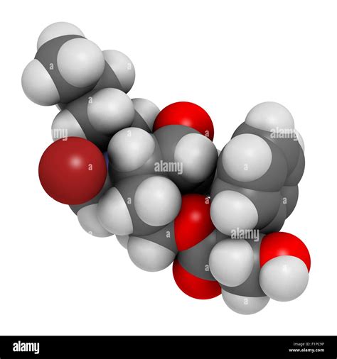 Butylscopolamine Hyoscine Butylbromide Scopolamine Butylbromide Butylhyoscine Drug Molecule