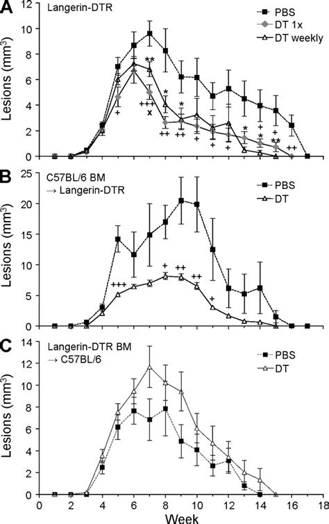 Selective Depletion Of LC Leads To Reduced Lesion Volumes A Groups