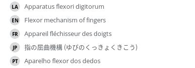 Flexor mechanism of fingers - e-Anatomy - IMAIOS