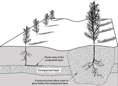 What to Do When Soil is Compacted - JimsMowing.com.au