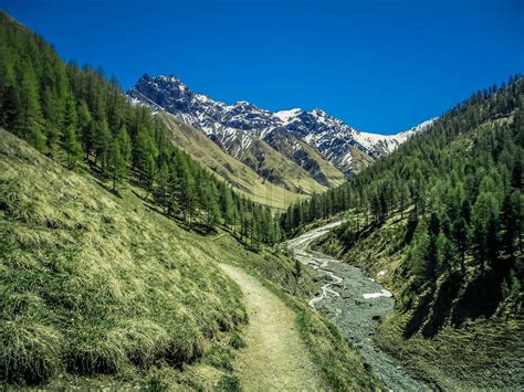 Hiking in swiss national park near zernez in summer | Stock image ...