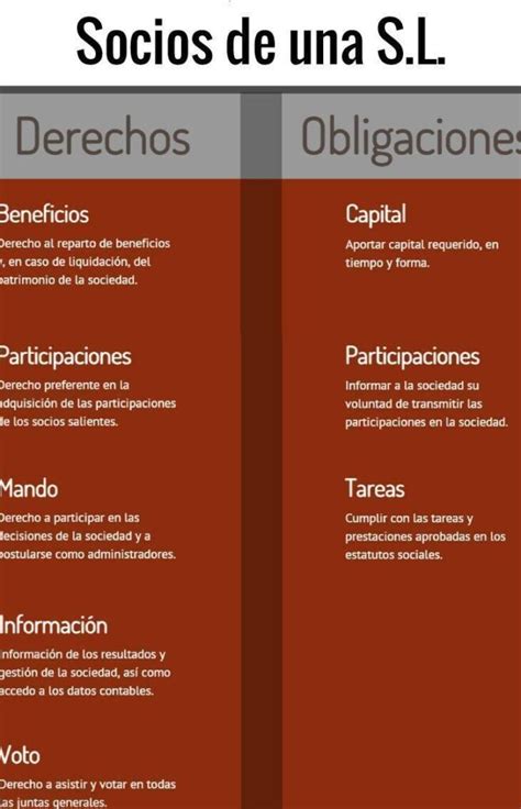 Los Derechos De Los Socios En Una Sociedad Limitada Todo Lo Que Debes