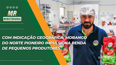 Indica O Geogr Fica Morango Do Norte Pioneiro Impulsiona Renda De