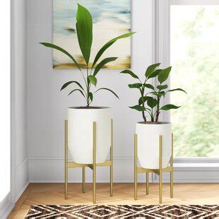 Wayfair | Indoor Planters