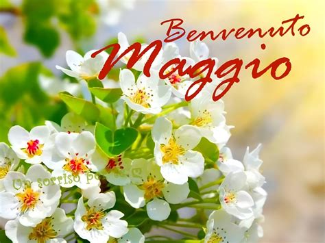 ️ 20 Immagini di Maggio con belle frasi - Top Immagini