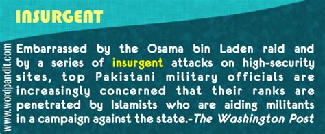 Meaning Of Insurgent