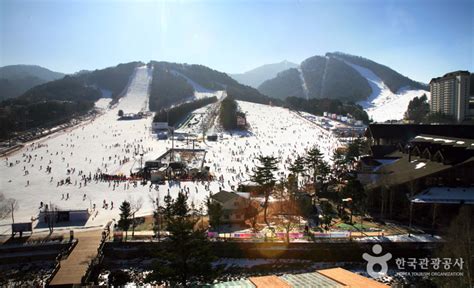 Best Ski Resorts To Visit In Gangwon Province This Winter