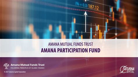 Webinar Getting To Know You The Amana Participation Fund Youtube