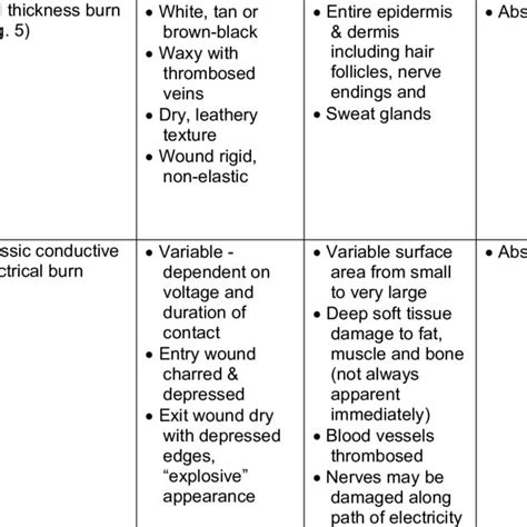 -Modified Harris Benedict Equation | Download Table