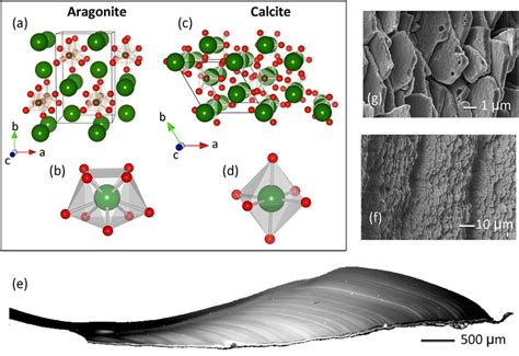 Aragonite Structure