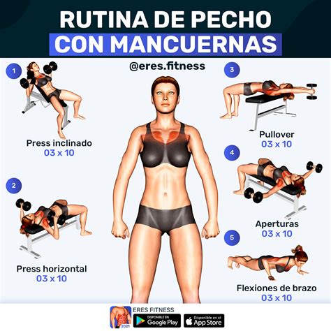 Los 12 Mejores Ejercicios Para Pectorales Rutina • Fullmusculo