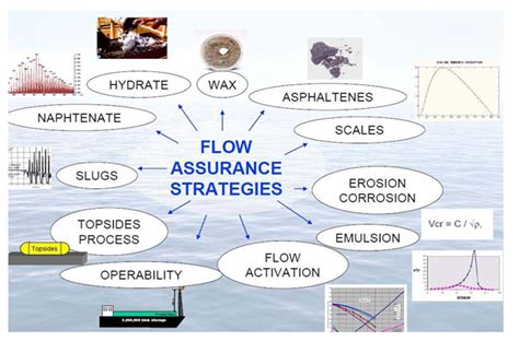 Flow Assurance Services Ceegev Engineering Limited