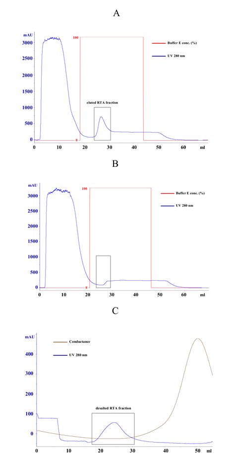 A Simple Fluorescence Based Reporter Assay To Identify Cellular Components Required For Ricin