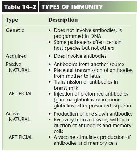 Types Of Immunity