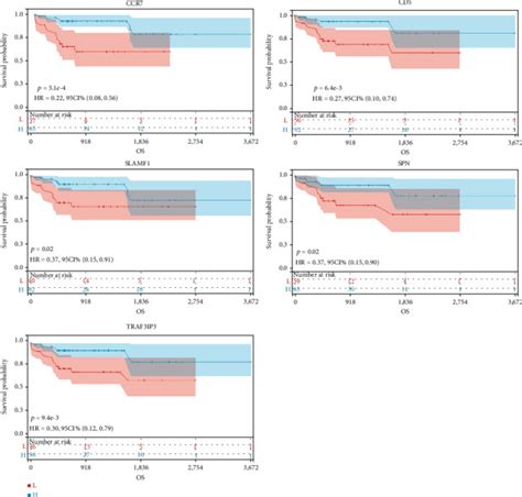 Identification Of Key Genes In The HBV Related HCC Immune