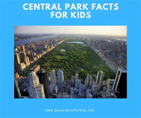 Central Park Facts for Kids (All You Need to Know!)