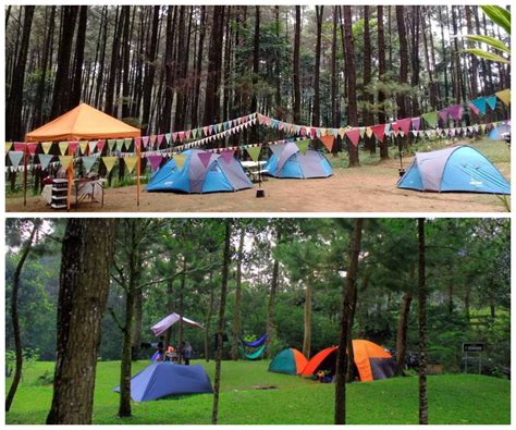 Cuma Jam Dari Jakarta Camping Seru Di Taman Wisata Alam Gunung