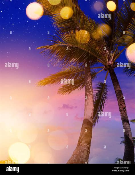 tropical summer beach night party background Stock Photo - Alamy