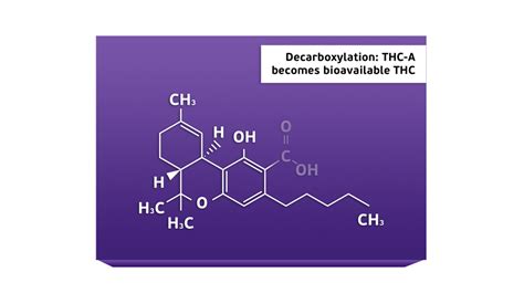 What is decarboxylation? — Ardent Cannabis