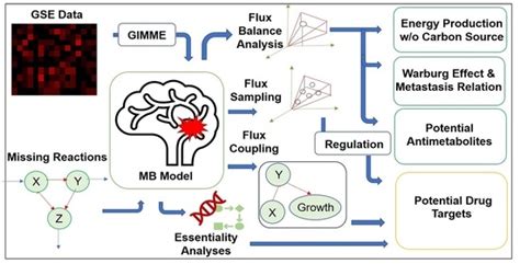 Molecules Free Full Text Identification Of Therapeutic Targets For