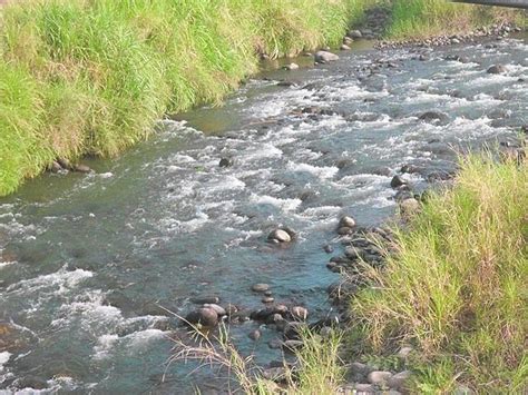 Ríos del Soconusco con altos niveles de contaminación investigador