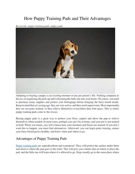 Ppt How Puppy Training Pads And Their Advantages Powerpoint