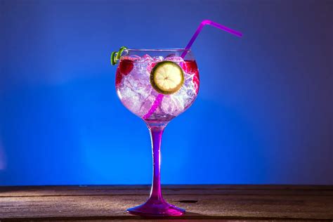 Drinks De Gin Incr Veis E F Ceis Para Voc Aprender J Dicas De Um