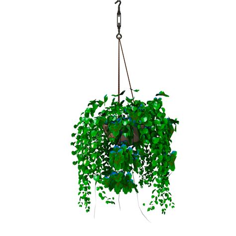 Hanging Plants Png Image Hanging Plant Decoration Hanging Plant