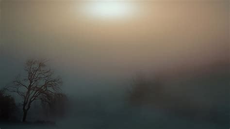 Foggy landscape in the forest image - Free stock photo - Public Domain photo - CC0 Images