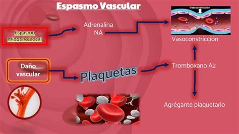 Teoria Molecular De La Coagulacion Pptx