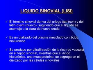 Liquido Sinovial | PPT