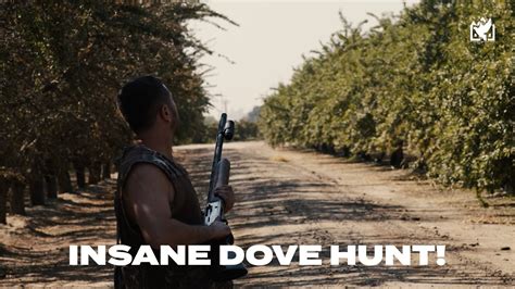 Insane Start To The Dove Hunting Season September Madera Ca