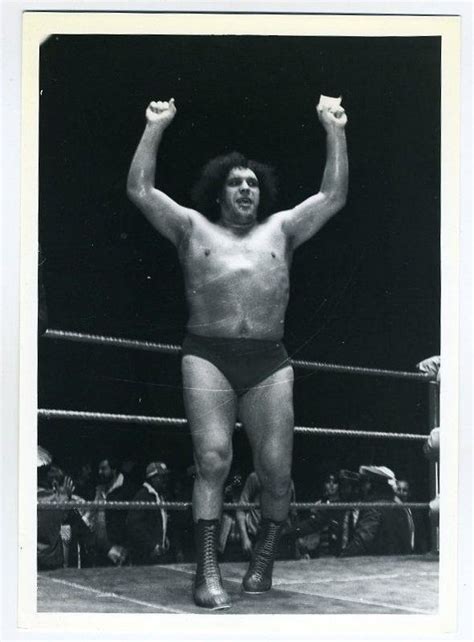 ANDRE THE GIANT | Andre the giant, Wrestling posters, Pro wrestler