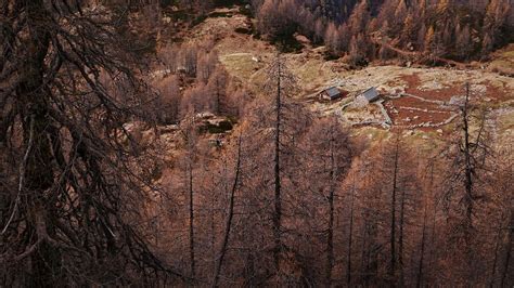 Lago Mognola E Lago Del Piattello Forrestmen Flickr