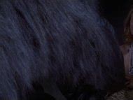 Naked Jessica Lange In King Kong II