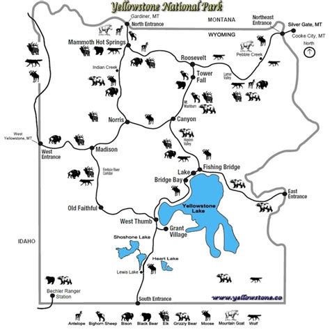 Yellowstone National Park Map - The Best Maps of Yellowstone