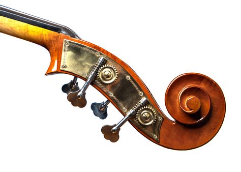 Cello Vs Bass Everything You Need To Know Johnson String Instrument