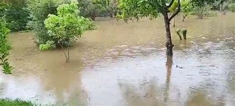 Chuva faz rio transbordar e água invade casas em Paulo de Frontin Sul