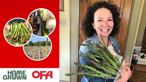 Five Ways To Appreciate Ontario Grown Asparagus Ontario Federation Of