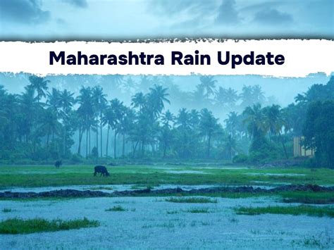 Maharashtra Rain Forecast Imd Issues Yellow Alert For 7 Districts As