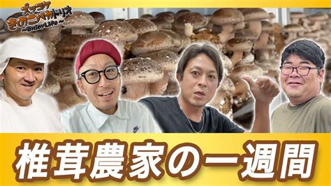 【儲かる農業】儲かるためには常に挑戦‼︎止まることのない椎茸農家‼︎ Youtube