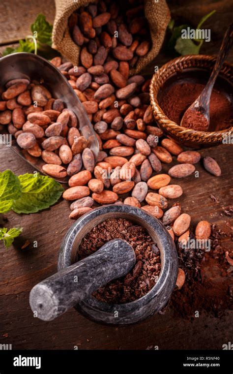 Roasted cocoa beans Stock Photo - Alamy