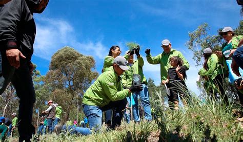 Únete a la campaña de reforestación en el Edoméx Cuida la naturaleza