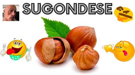 Sugondese Nuts Memetober Youtube