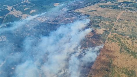 Gobierno De Chile Confirma Cuatro Muertos Por Incendios Forestales En