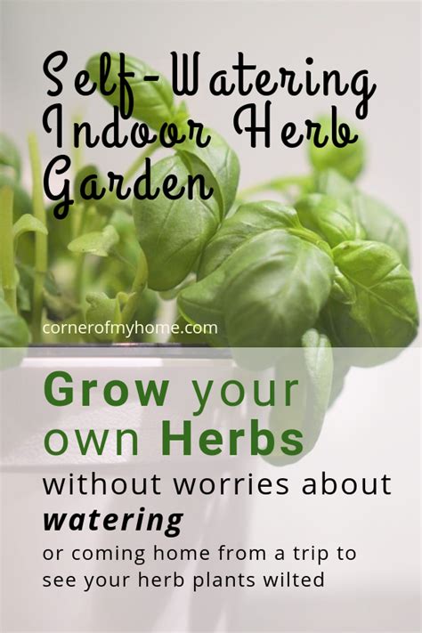 Self-Watering Indoor Herb Garden | Herbs, Planting herbs, Herb garden