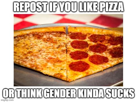 Repost If You Like Pizza Or Think Gender Kinda Sucks Lil Kitten11 I