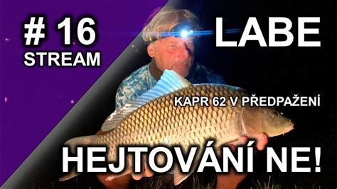 Lov Kapra Na Labi Labe Den Carp Fishing Lov Kapra Karpfen Angeln